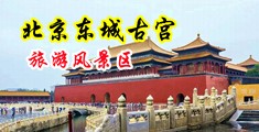 操逼动态图俄罗斯熟妇白虎妞中国北京-东城古宫旅游风景区